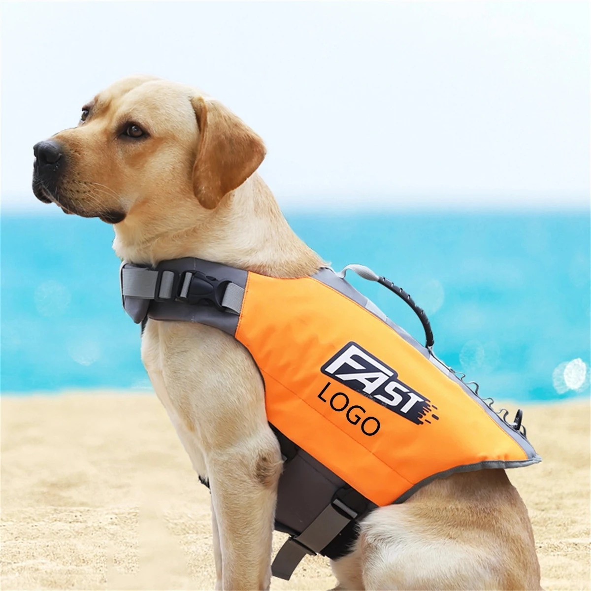 Life Jacket For Dogs 1