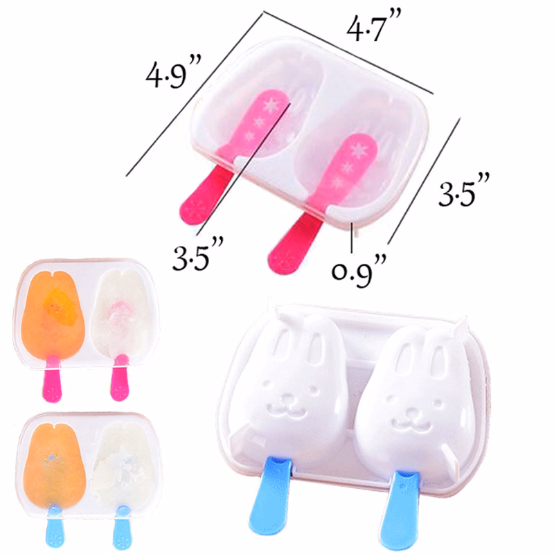 Frozen Ice Mold Popsicle DIY Maker