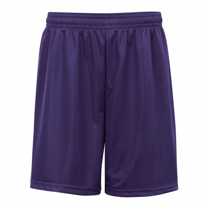 Men's Mini Mesh 9'' Inseam Shorts - 7239