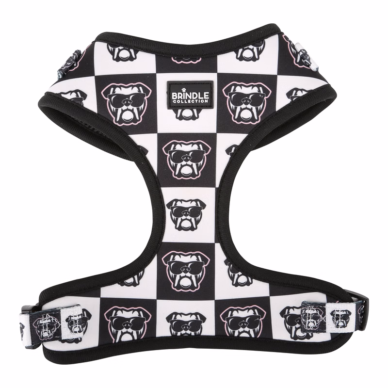 Dog Harness: Large