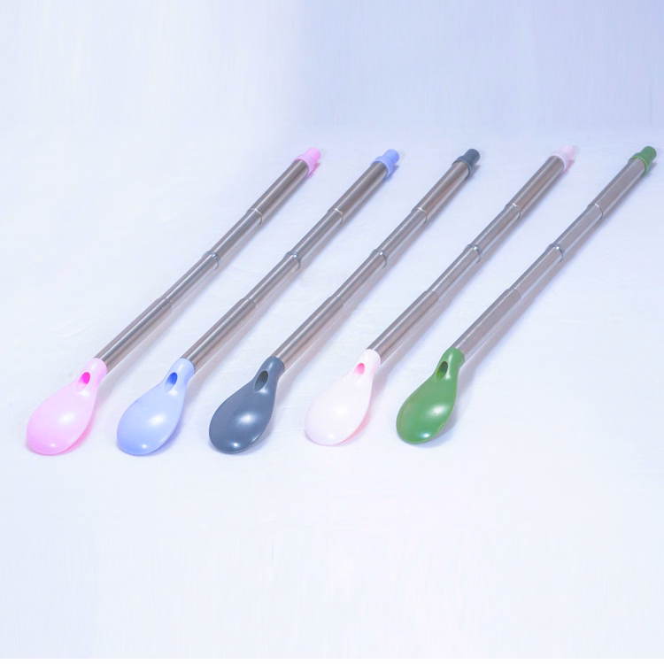 2-in-1 Reusable Stainless Collapsible Straw Spoon w/Case