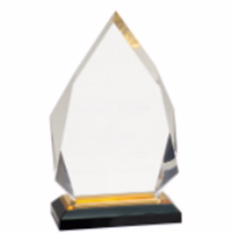 5.25" x 8.75" Gold Diamond Impress Award
