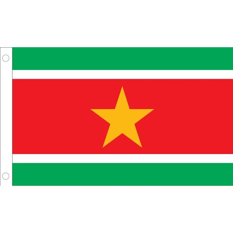 Suriname Flag - 3' x 5' - Nylon 1