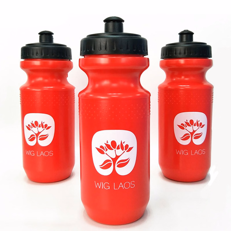 22 Oz. Plastic Sports Water Bottle w/ Push Pull Cap
