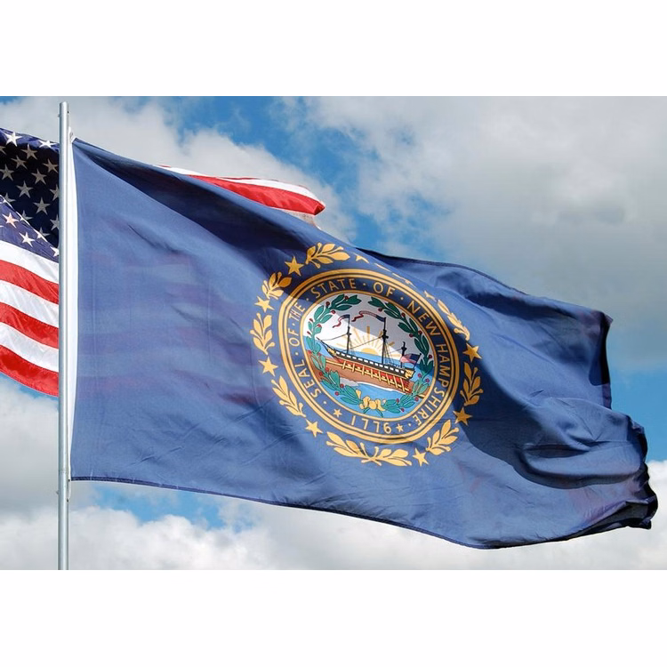 New Hampshire State Flag - 2' x 3' - Nylon