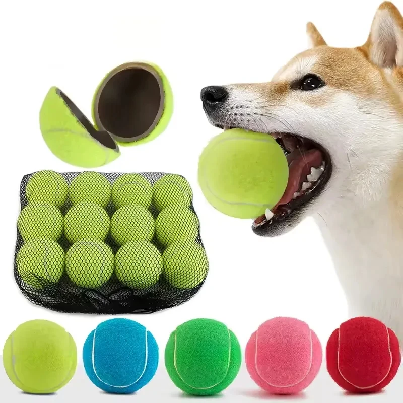 Pet Fetch Toy Tennis Ball 1