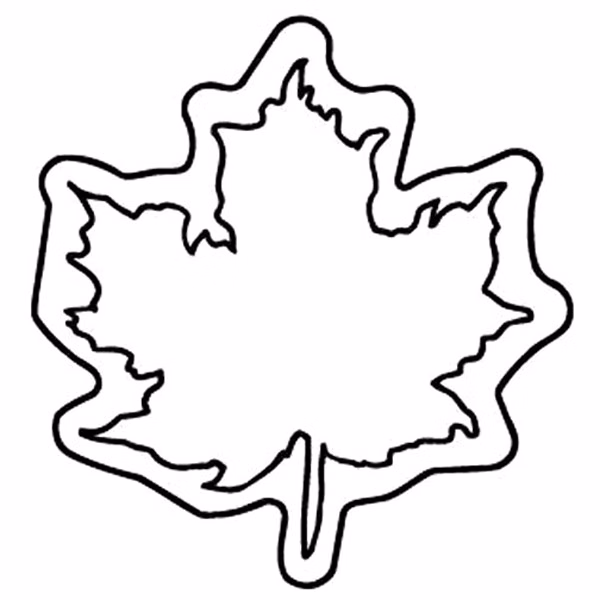Leaf Magnet - Full Color