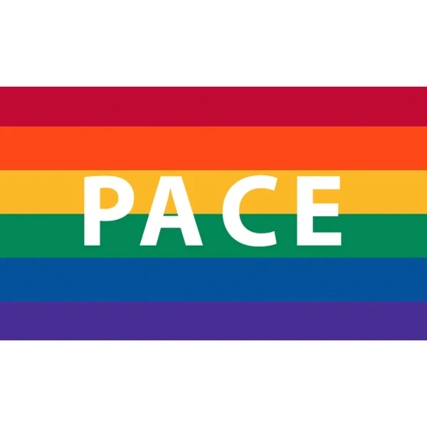 Pace Motorcycle Flag 1