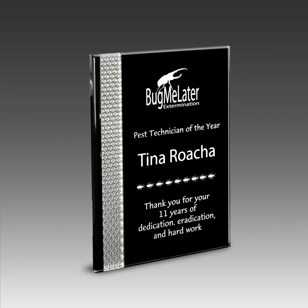 7" x 9" Prismatic Plaque 1