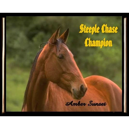 5" x 7" Full Color Dye Sublimated Black Edge Plaque 1