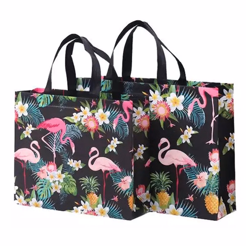 Full Color Laminated Non-woven Bag