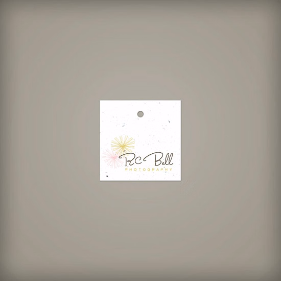 Single-Sided 2 x 2" Square Seed Paper Tags