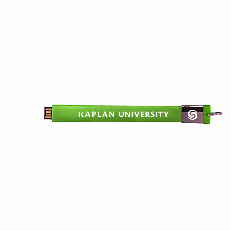 Rock Falls Silicon Key Chain Mini USB