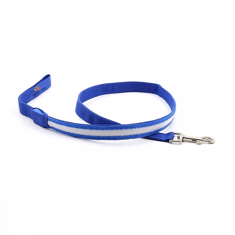 LED Dog Leash