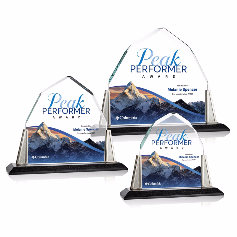 Avalon VividPrint™ Award - Pewter