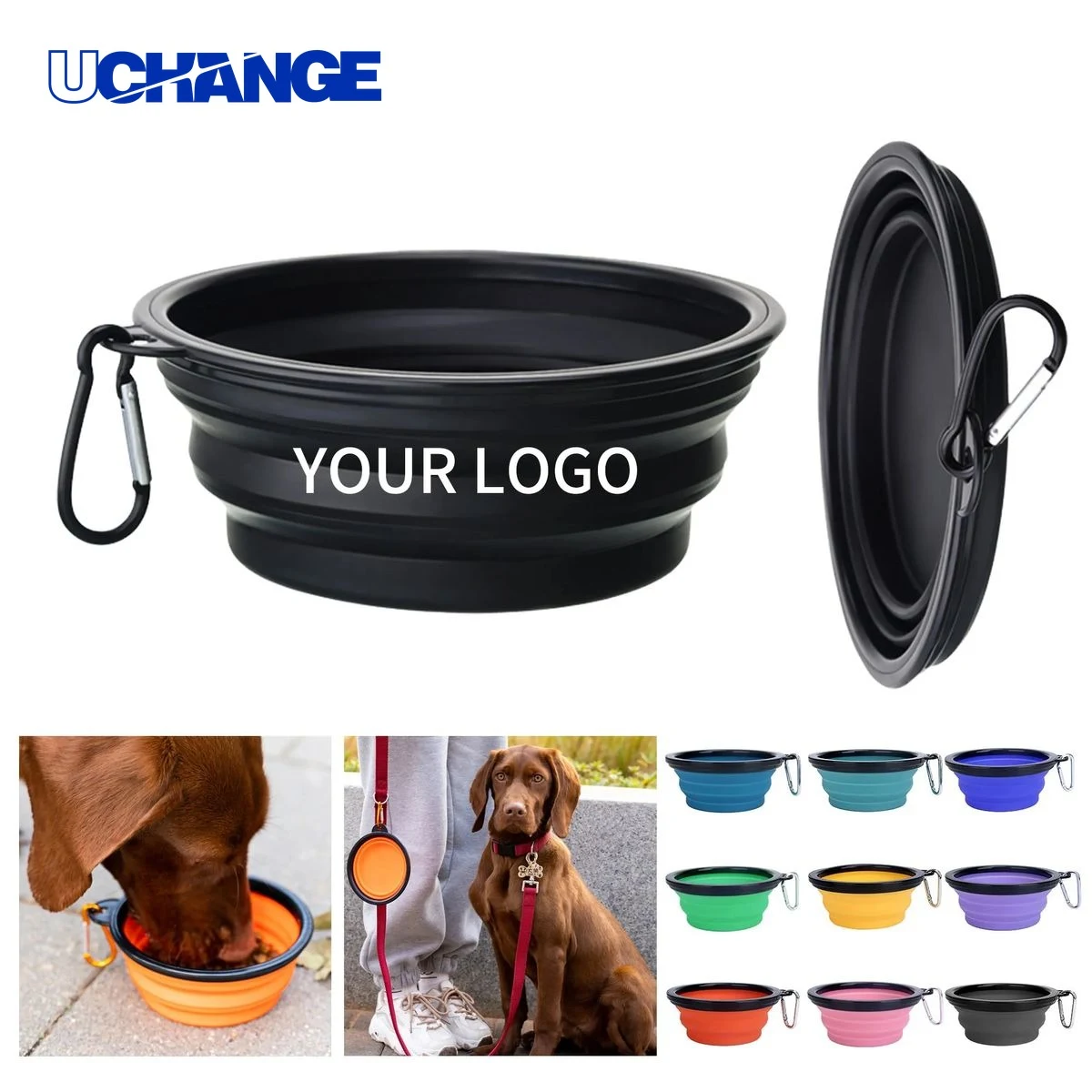 Pet Feeding Dish 1