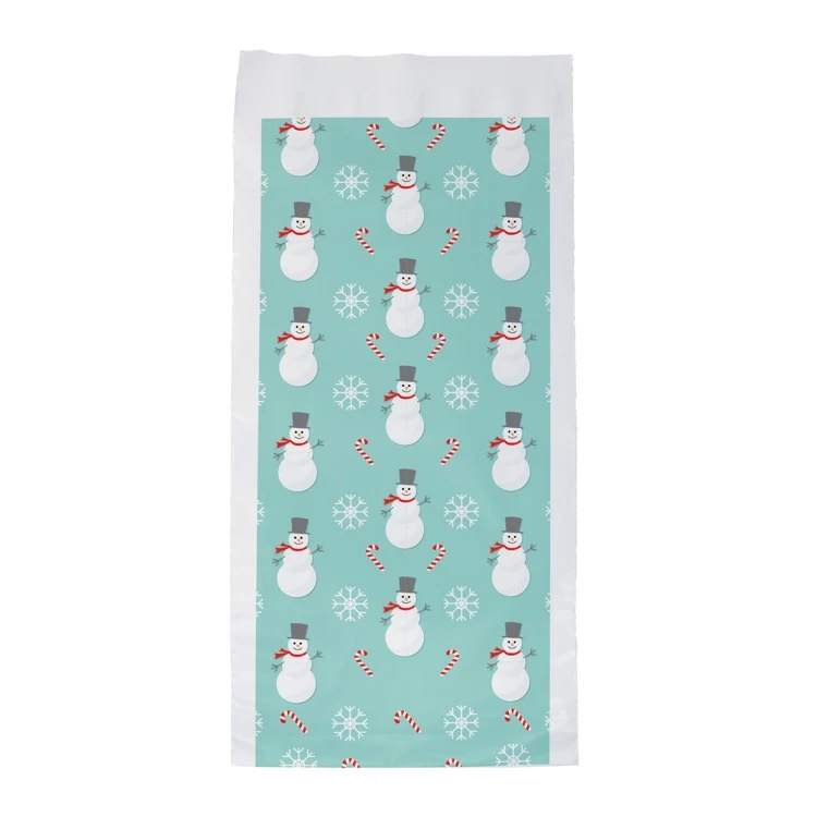 Snowmen Seasonal Predesigned Poly Mailer (6.75 x 12) 1