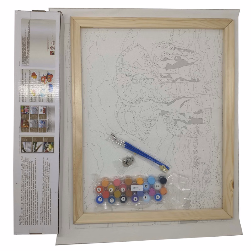 DIY Paintings by Numbers Kit