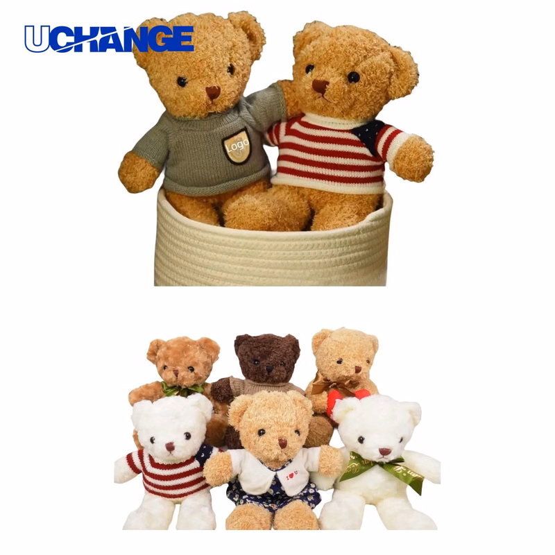 Plush Teddy Bear with Custom T Shirt