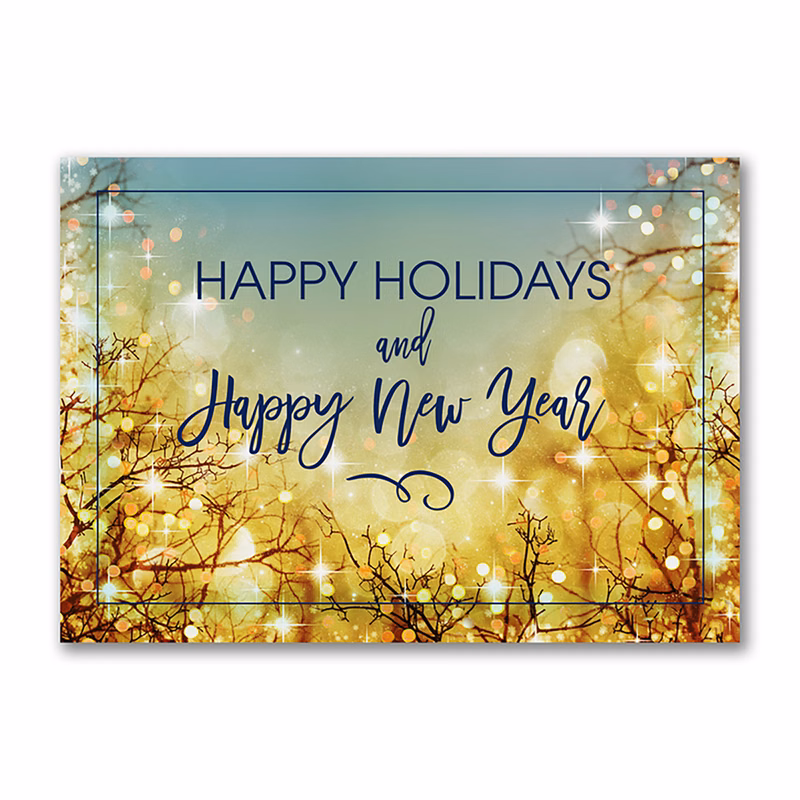 Light Up The Seasons Economy Holiday Card