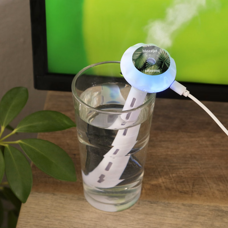 Mr. Mister Humidifier