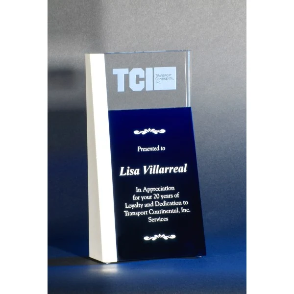 Artistic Expressions Crystal Alois Award 1