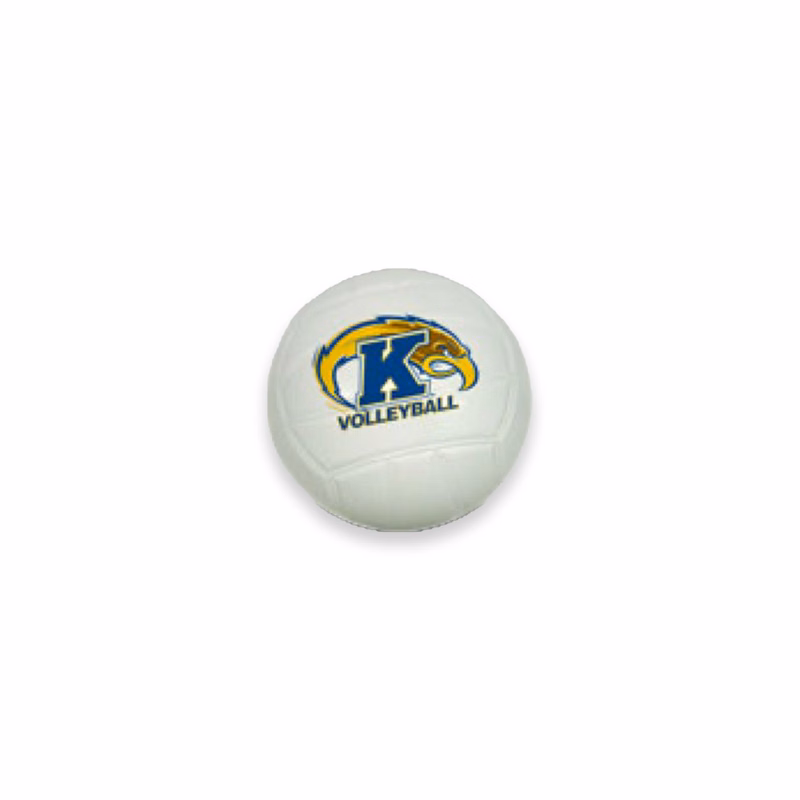 4" Mini Volleyball-White Top