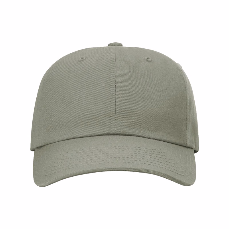 Sustainable Ashland Dad Hat - 254RE
