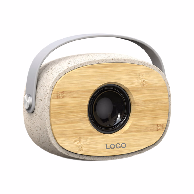 Wireless Speaker with Handle (direct import)
