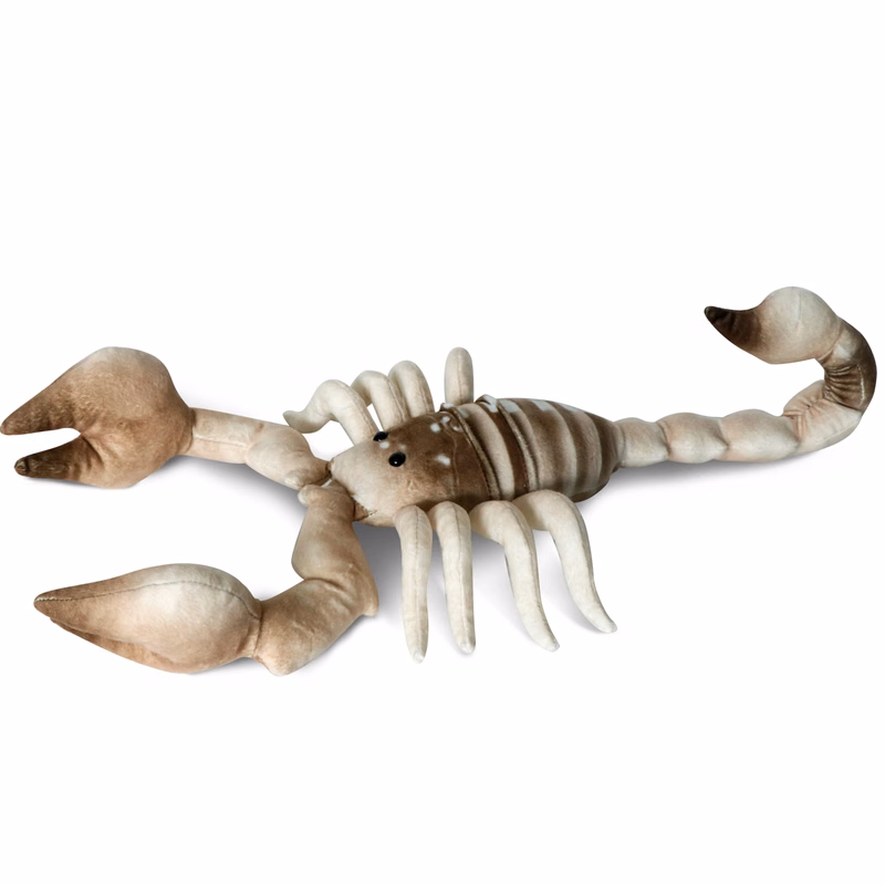 Beige Scorpion