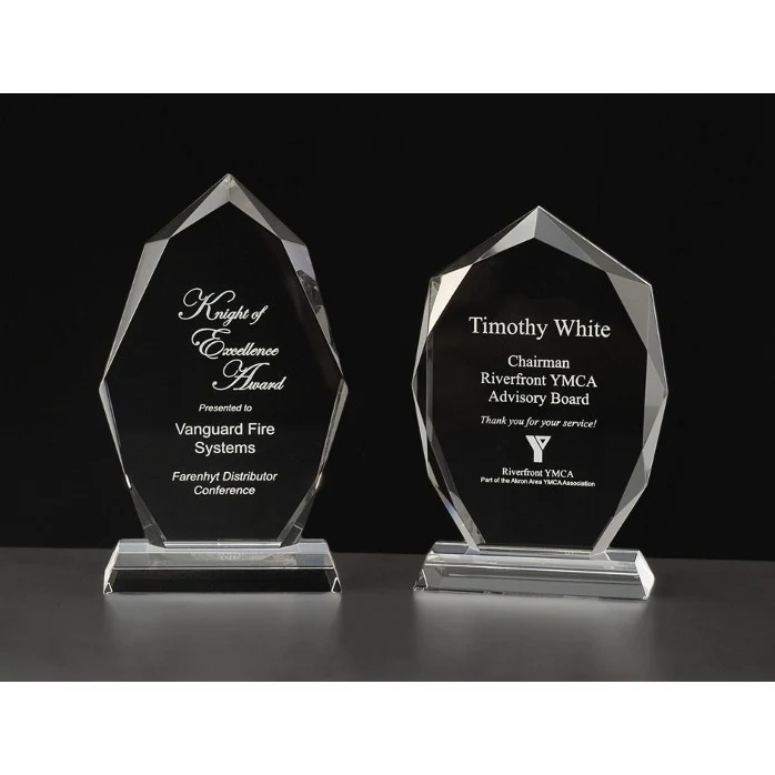 Contemporary Vistas Crystal Transform Award 1