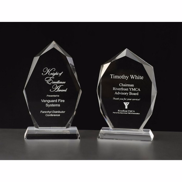 Contemporary Vistas Crystal Transform Award