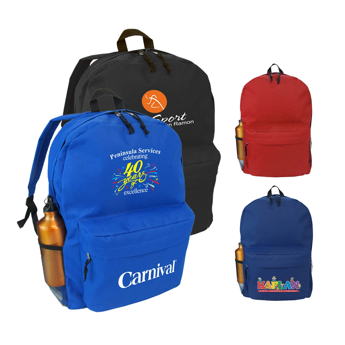 Backpack with padded back panel 1