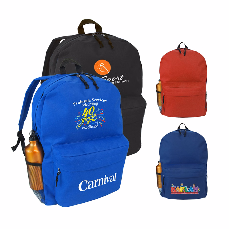 Backpack with padded back panel