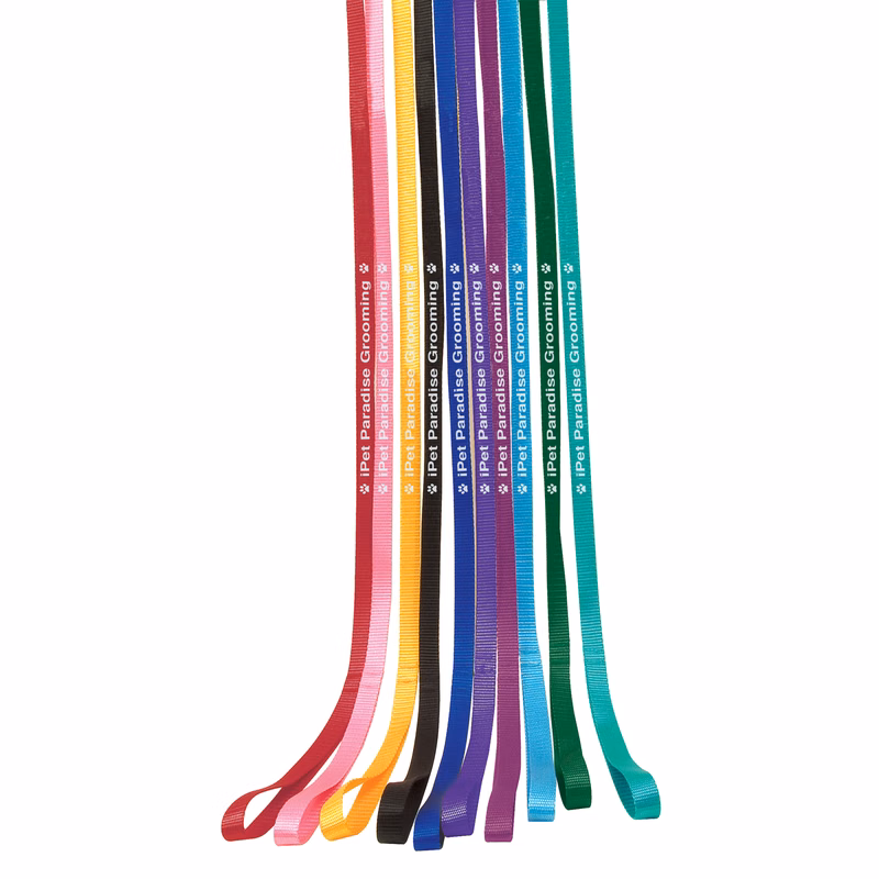 4' Personalized 1-Sided Pet Leads