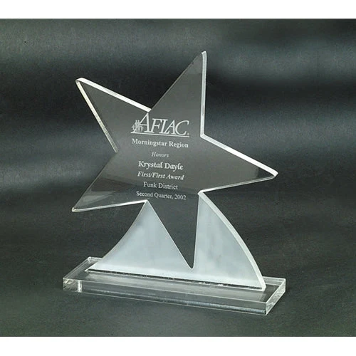 Acrylic Shooting Star Award 1