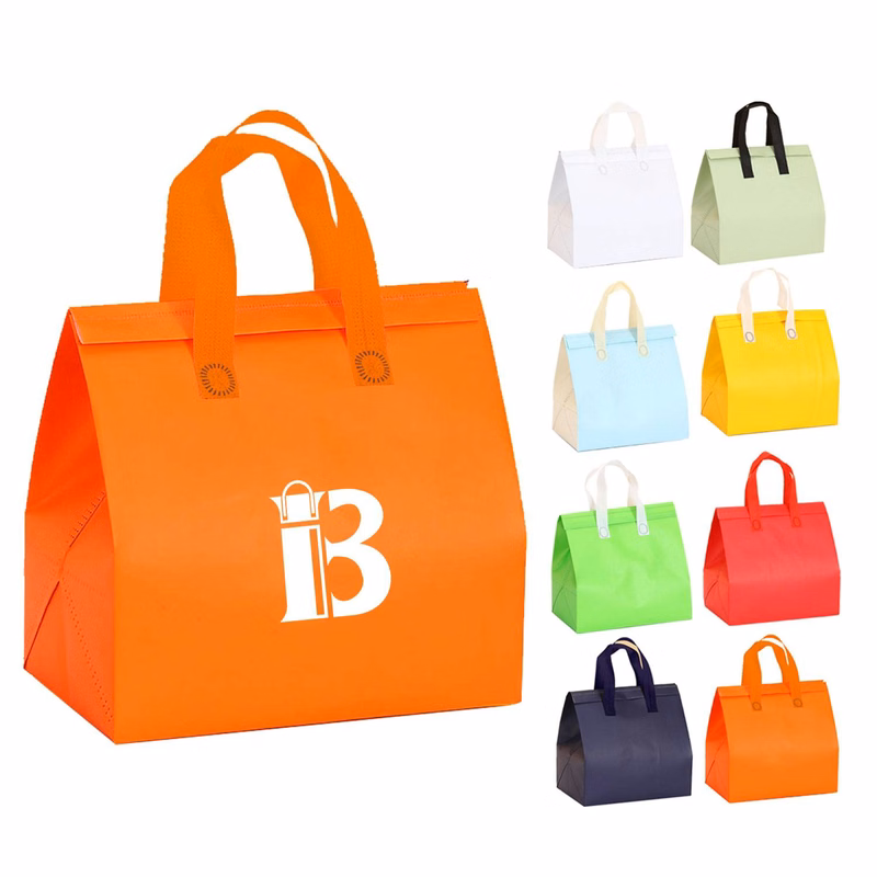 Disposable Insulated Bag