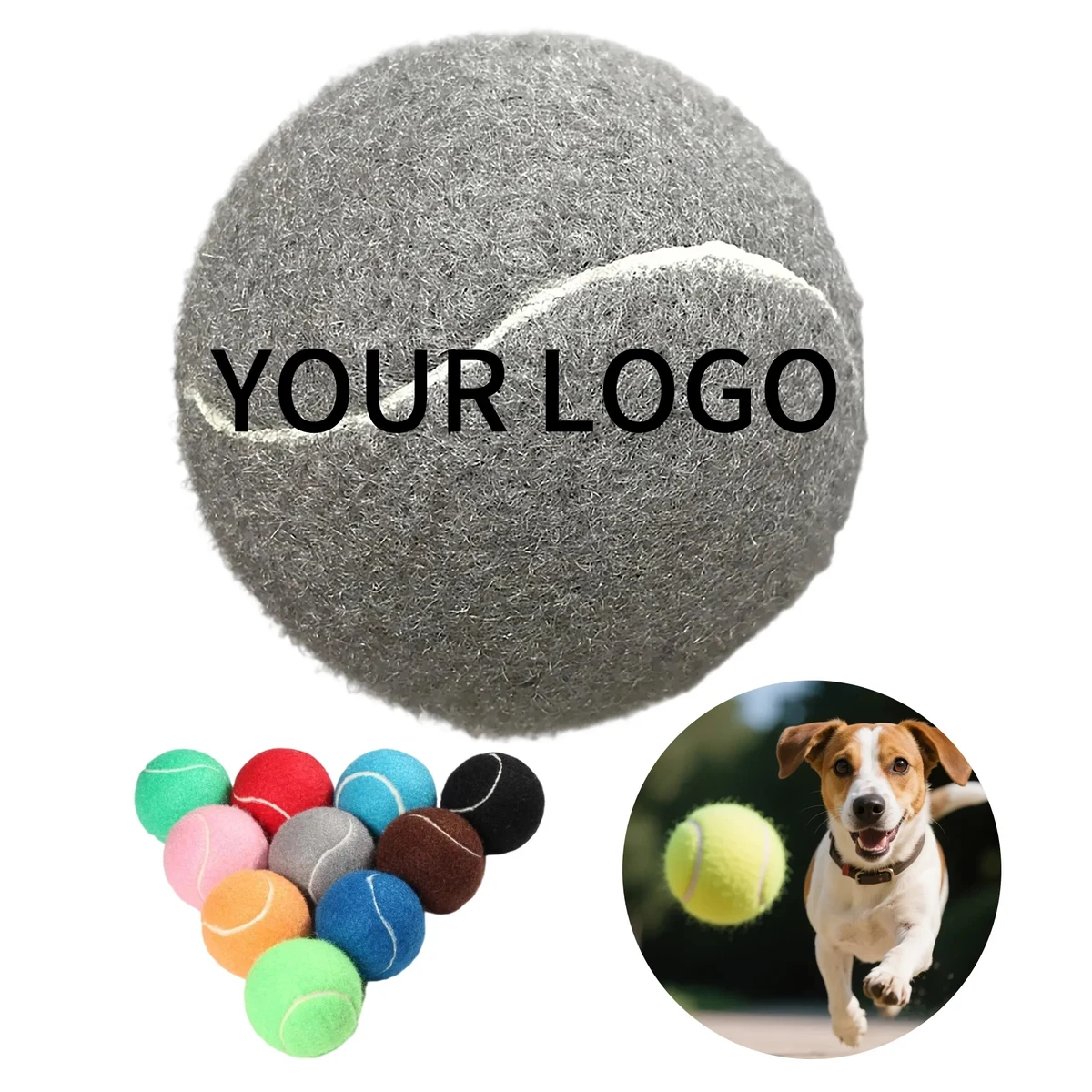Dog Training Ball 1