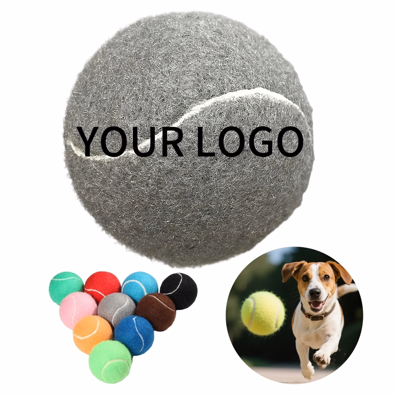 Dog Training Ball