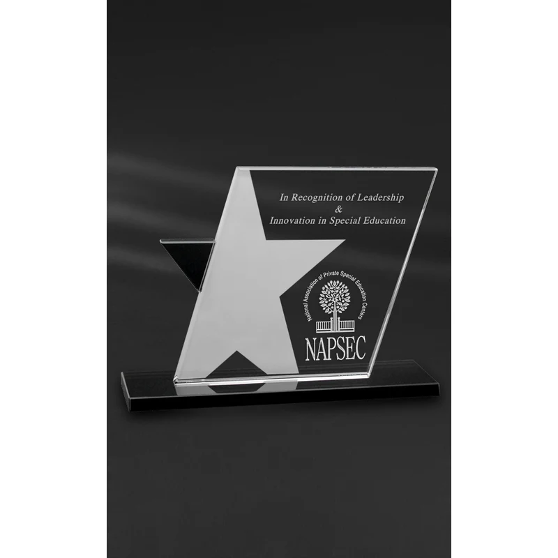 Ebony Star Award 1
