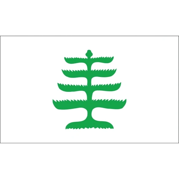 Special Historical Flags - Pine Tree 1