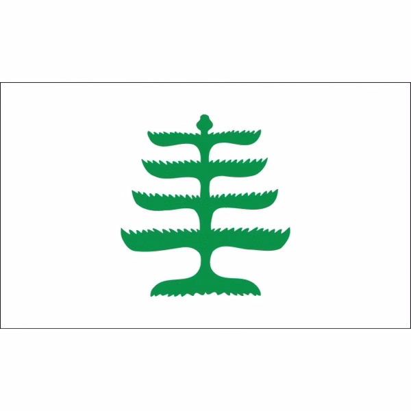 Special Historical Flags - Pine Tree