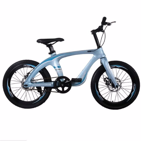 20 Mountain Bike