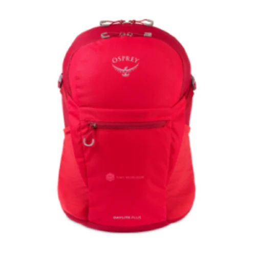 Custom Backpack - 17" 1