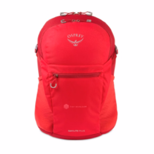 Custom Backpack - 17"