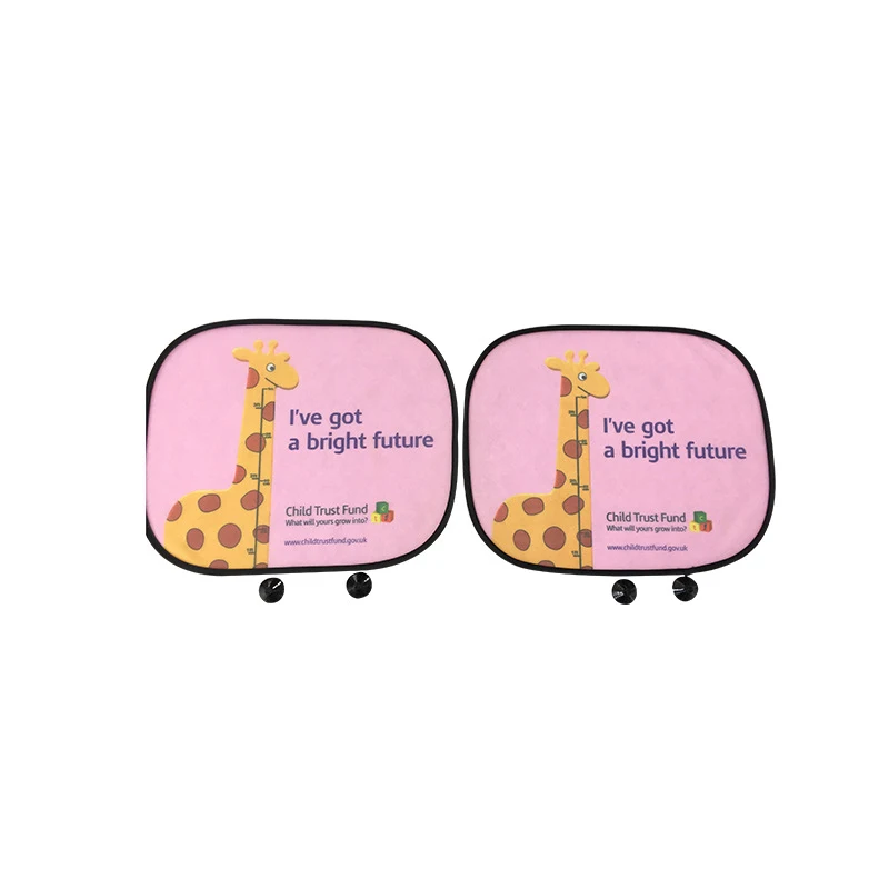 Car Side Window Visor 1
