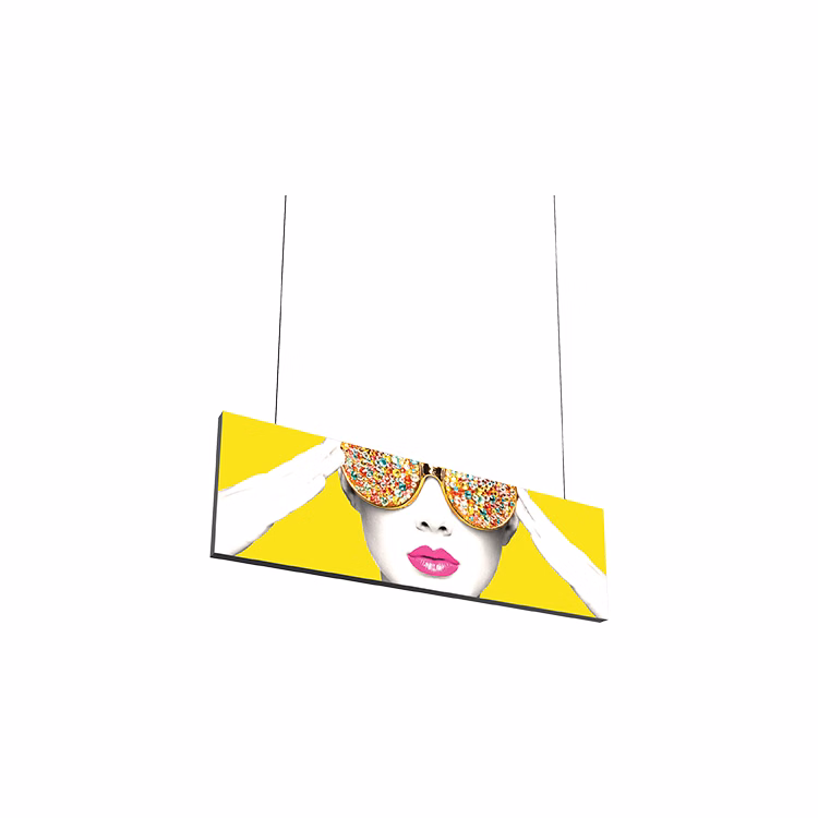 Vector Frame Hanging Light Box 10ft x 3ft