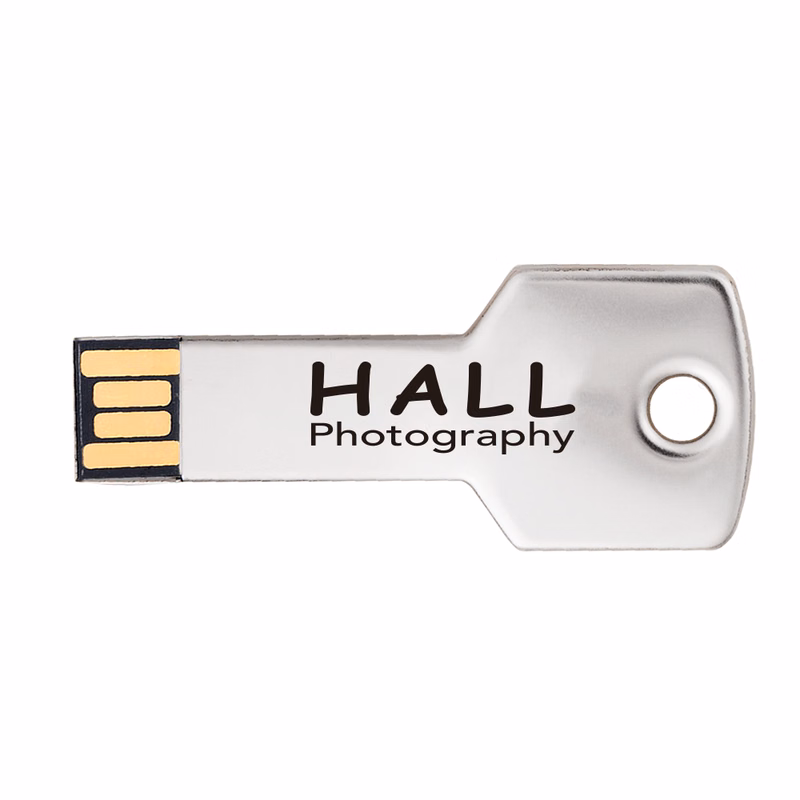 Berwyn Key Shape USB Flash Drive