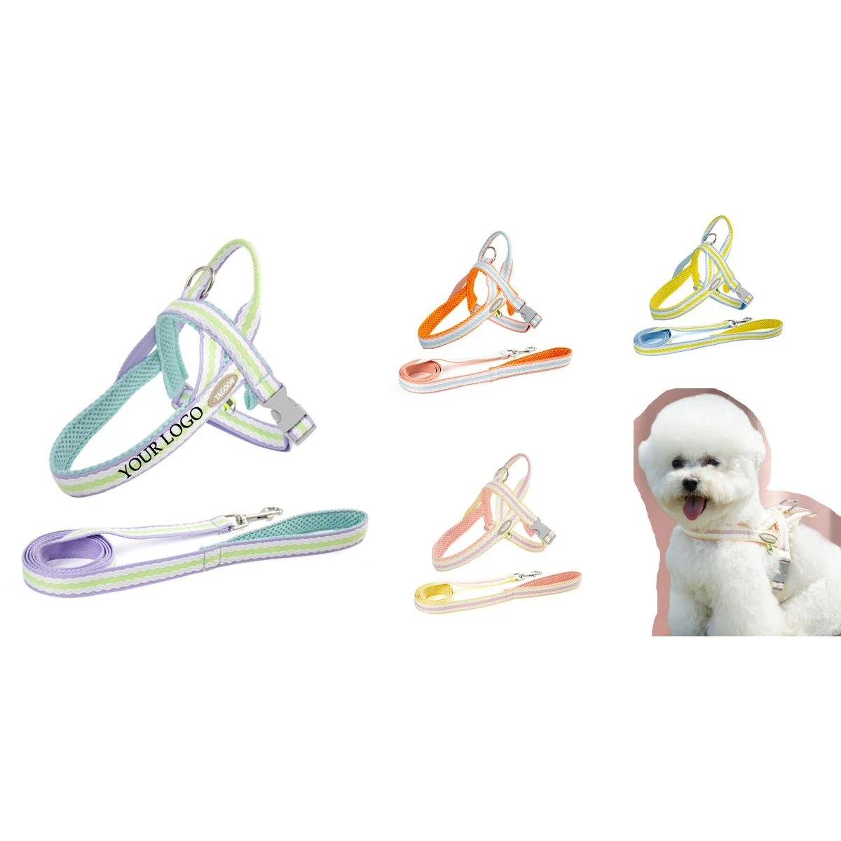 Small Dog Harness and Leash Set 1