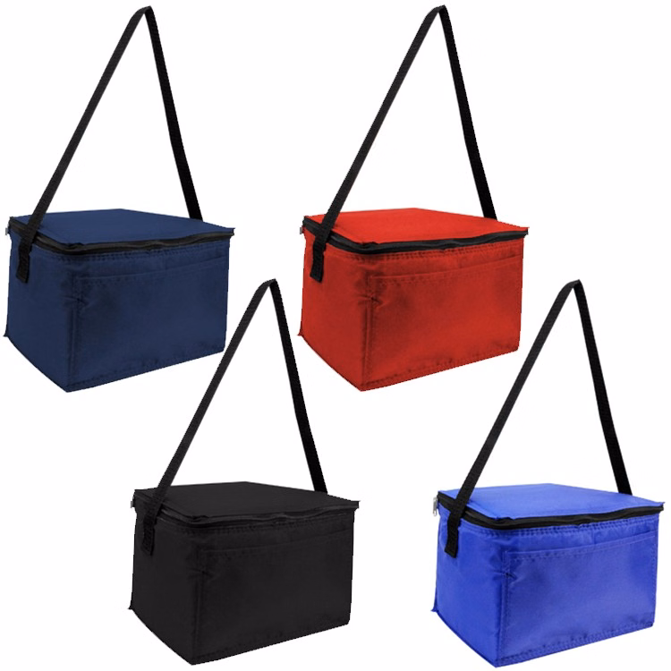 6 Pack Cooler Bag